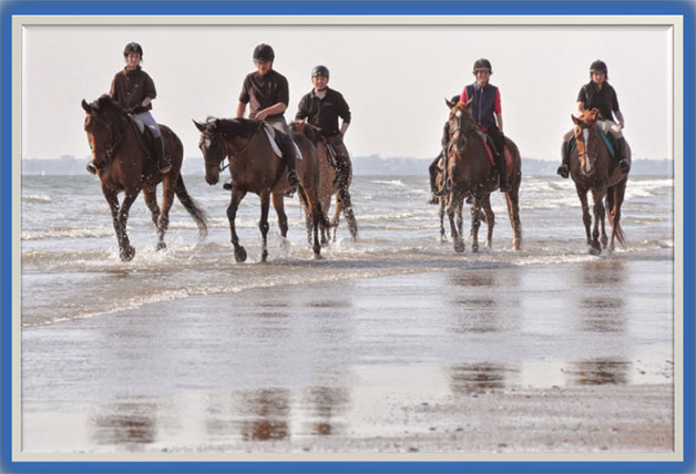 SUR LES PLAGES OU FORET