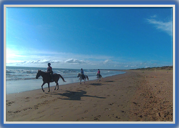 SUR LES PLAGES OU FORET
